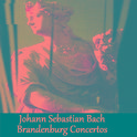 Johann Sebastian Bach - Brandenburg Concertos专辑