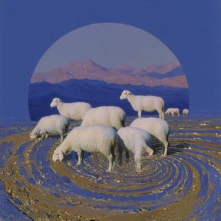 迷幻向｜飞升理想主义星球
