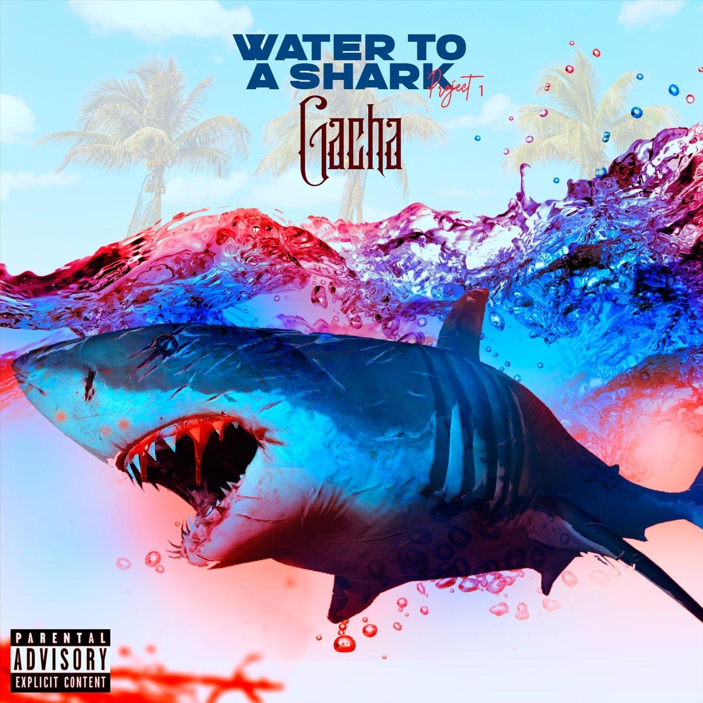 Water to a Shark Project 1
