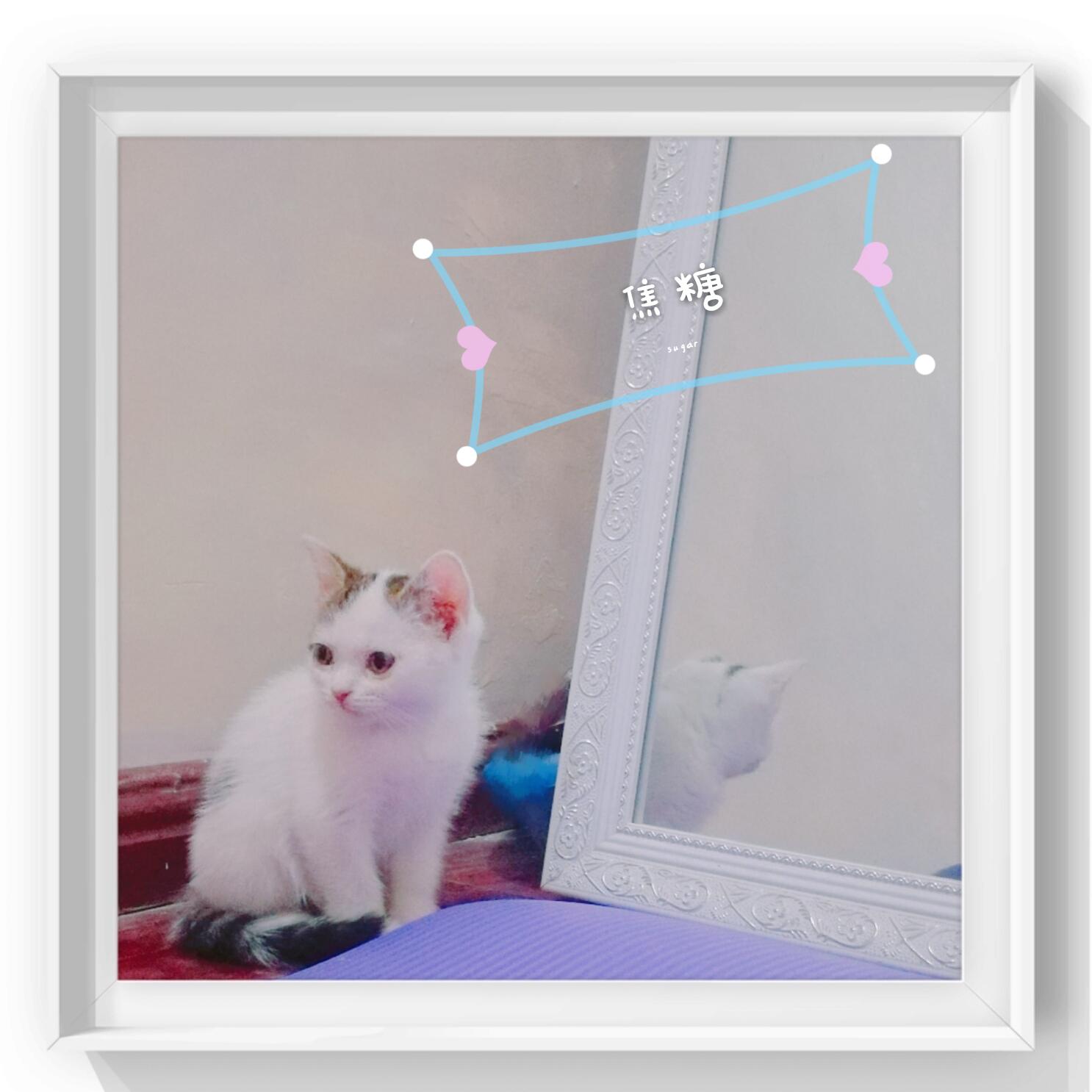焦糖专辑
