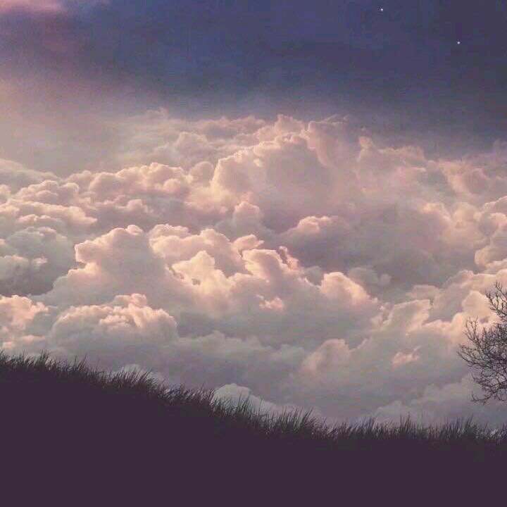 raindrops