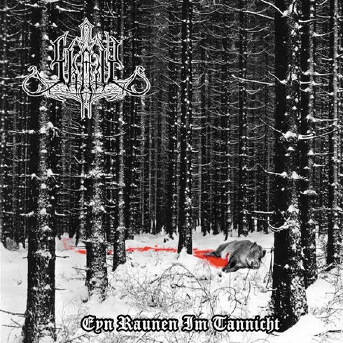 Eyn Raunen im Tannicht