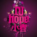 2014 JLS feat.Dev - She Makes Me Wanna (DjHope小春)专辑