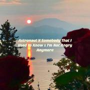 Astronaut X Somebody That I Used To Know mashup