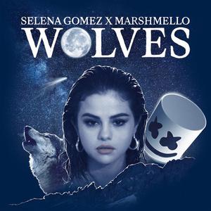 Wolves BBQ Remix （升2半音）