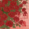 春日玫瑰专辑
