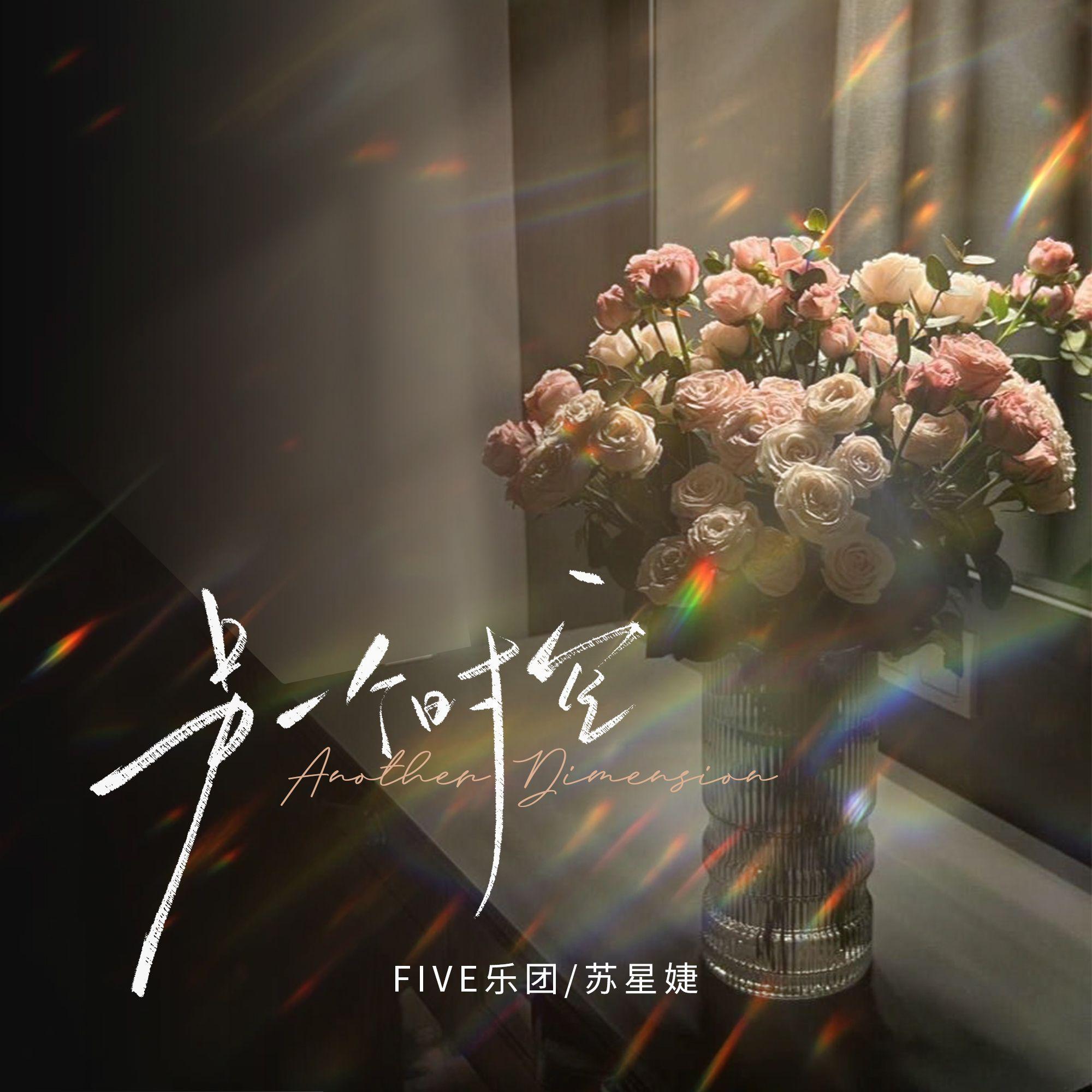 另一个时空专辑