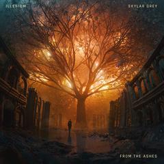 ILLENIUM,Skylar Grey《From The Ashes吉他谱》D调_音乐纯净感人