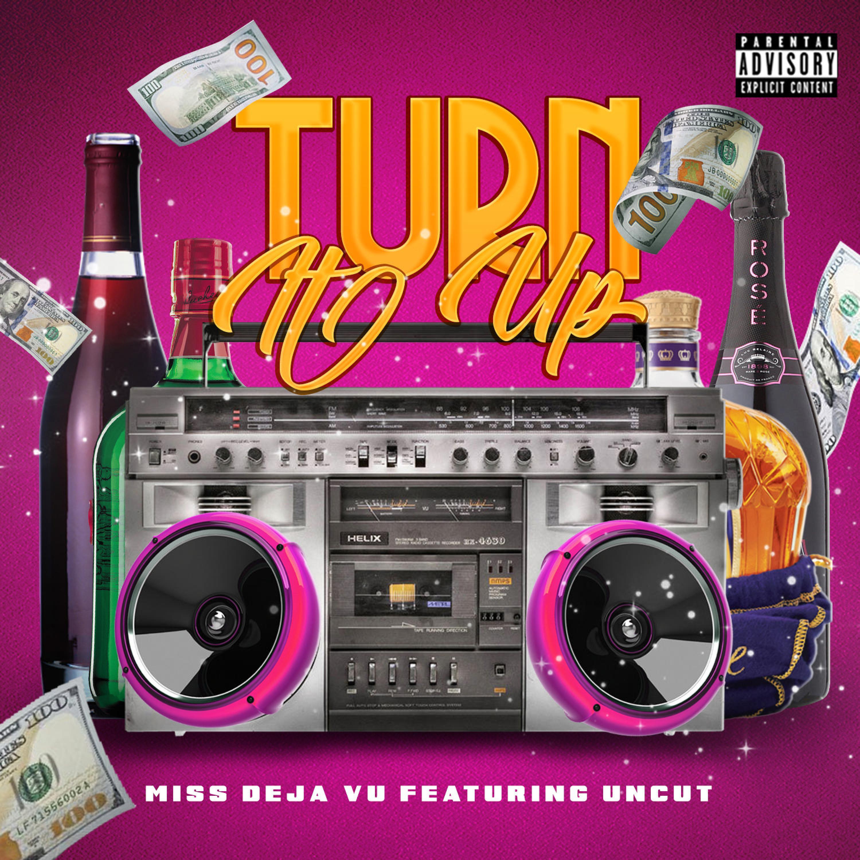 Turn It Up (feat. UnCut)
