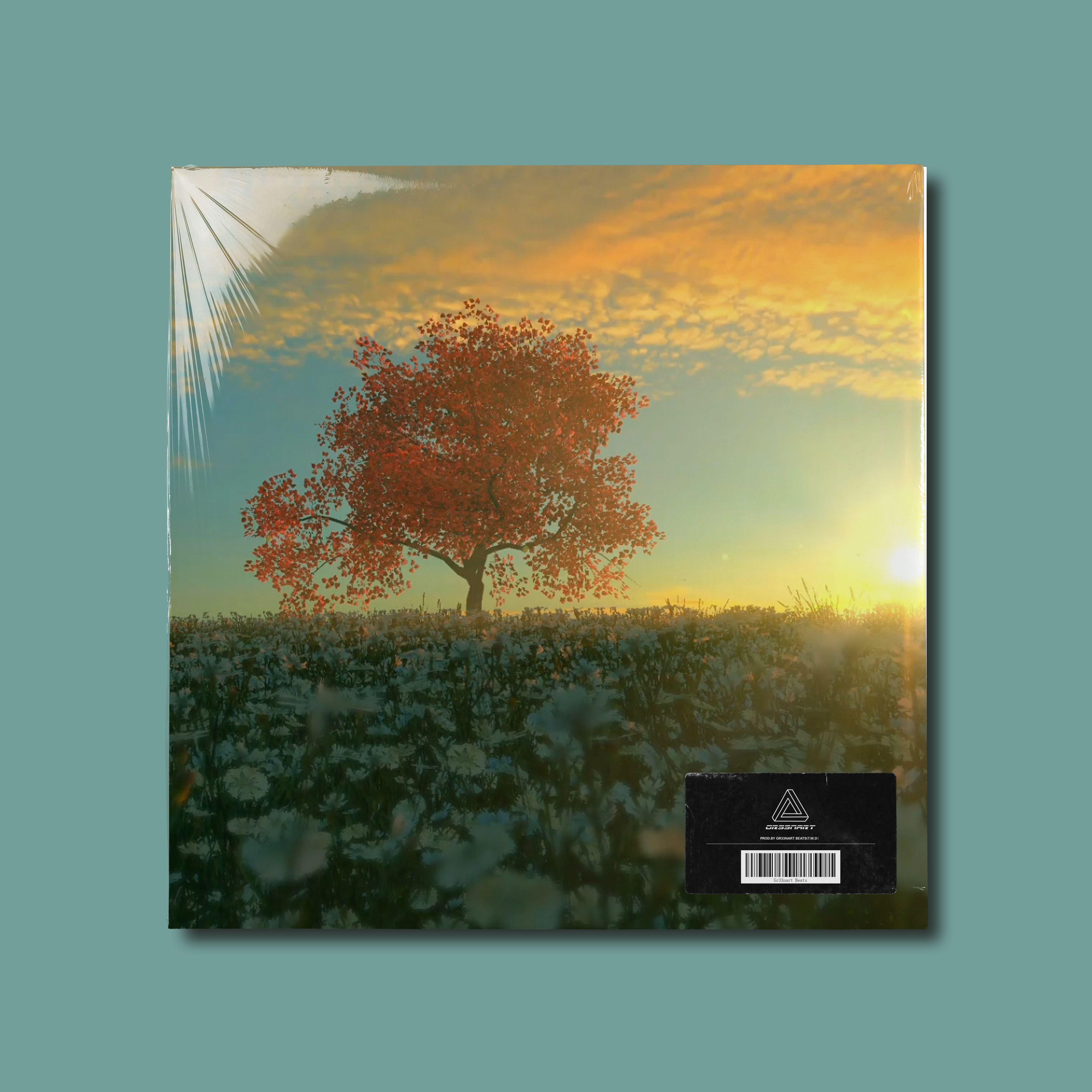 命中注定（Melodic Trap Type Beat)