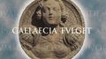 Música Para A Exposición Gallaecia Fulget专辑