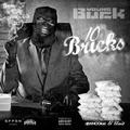 10 Bricks