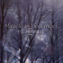 十二月的奇迹（Miracle in December）