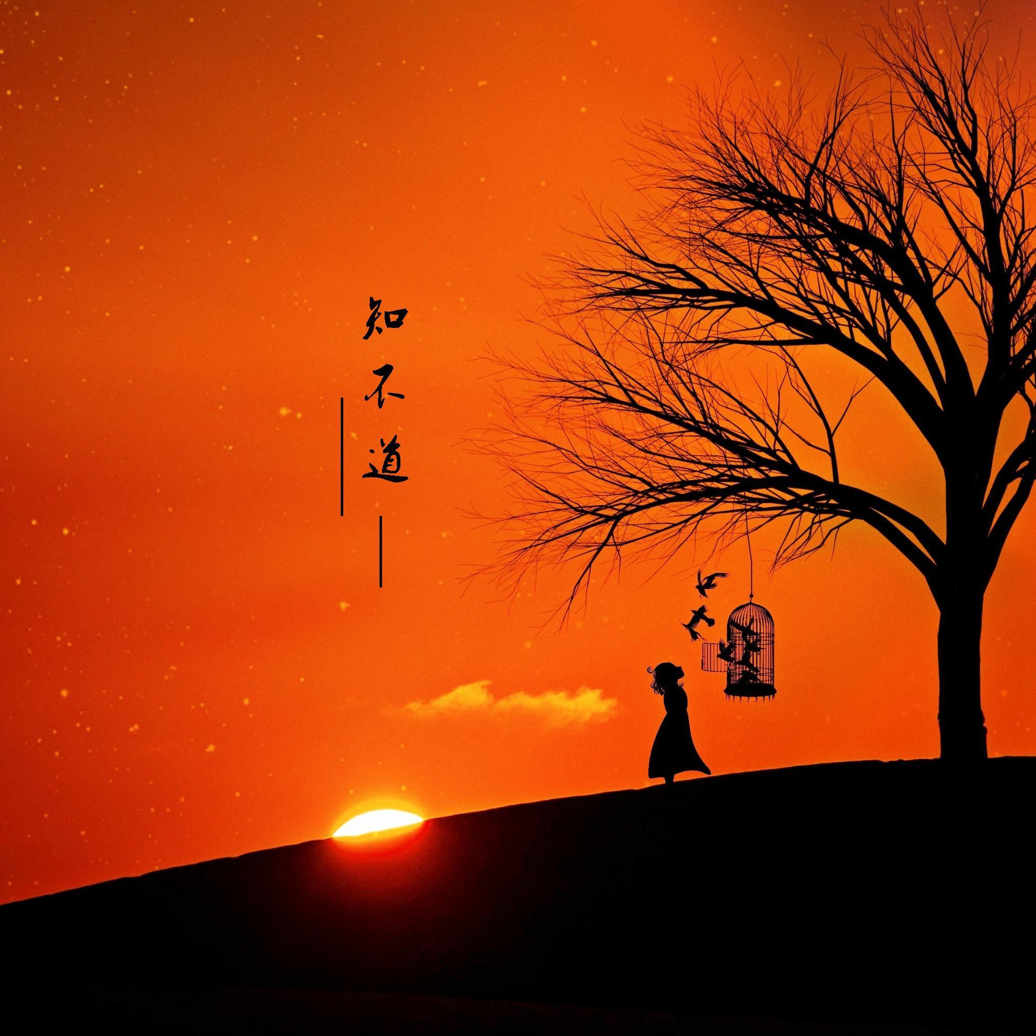 知不道