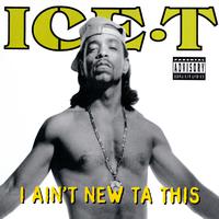 Ice-T - I Aint New Ta This (instrumental)