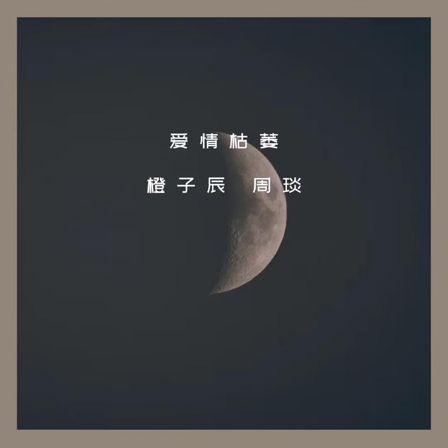 周琰 - 爱情枯萎 (Dj伴奏版)