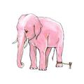 pink elephant