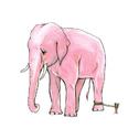 pink elephant专辑