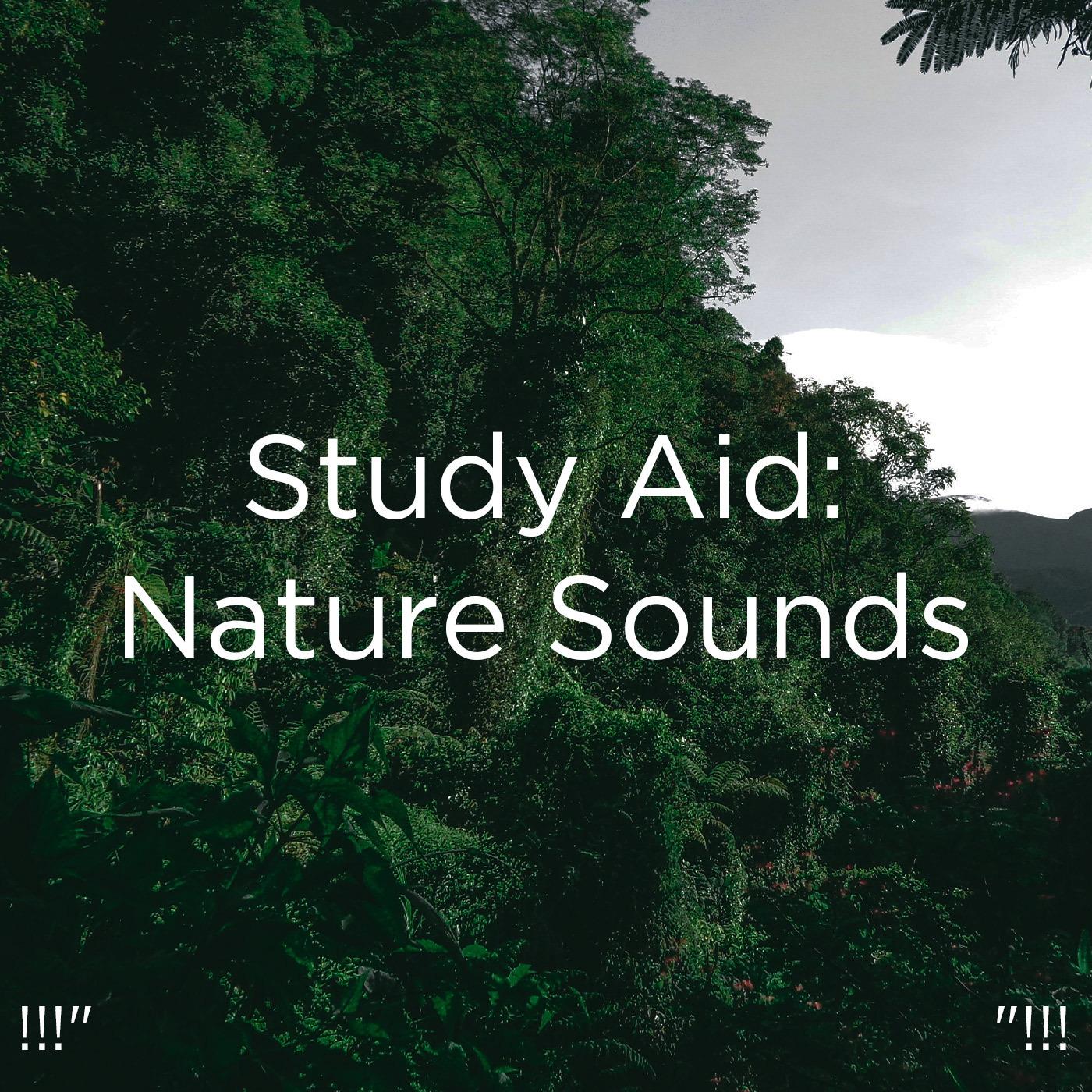 !!!" Study Aid: Nature Sounds "!!!