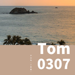 Tom0307（抖音）专辑