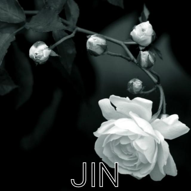 南城花会开(Jin Remix)专辑