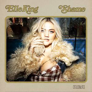 Elle King - Shame (Official Instrumental) 原版无和声伴奏