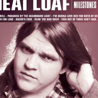 Meat Loaf - Read \'em And Weep (karaoke)