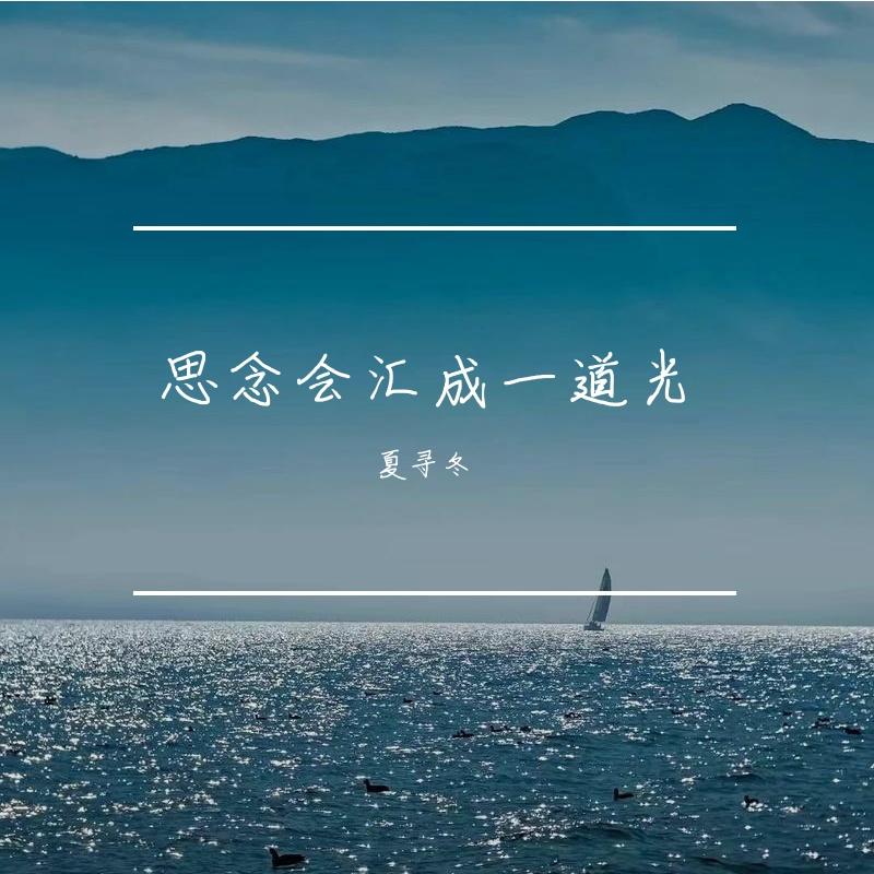 思念会汇成一道光