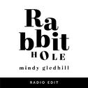 Rabbit Hole (Radio Edit)专辑