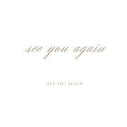 See You Again（翻自 Charlie Puth）