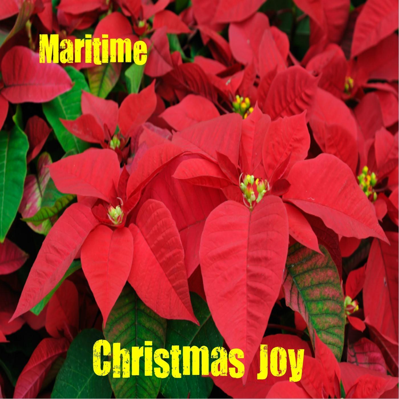 Christmas Joy