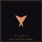 DJ Mr Steven - Can't Stop The Feeling Club Mix专辑