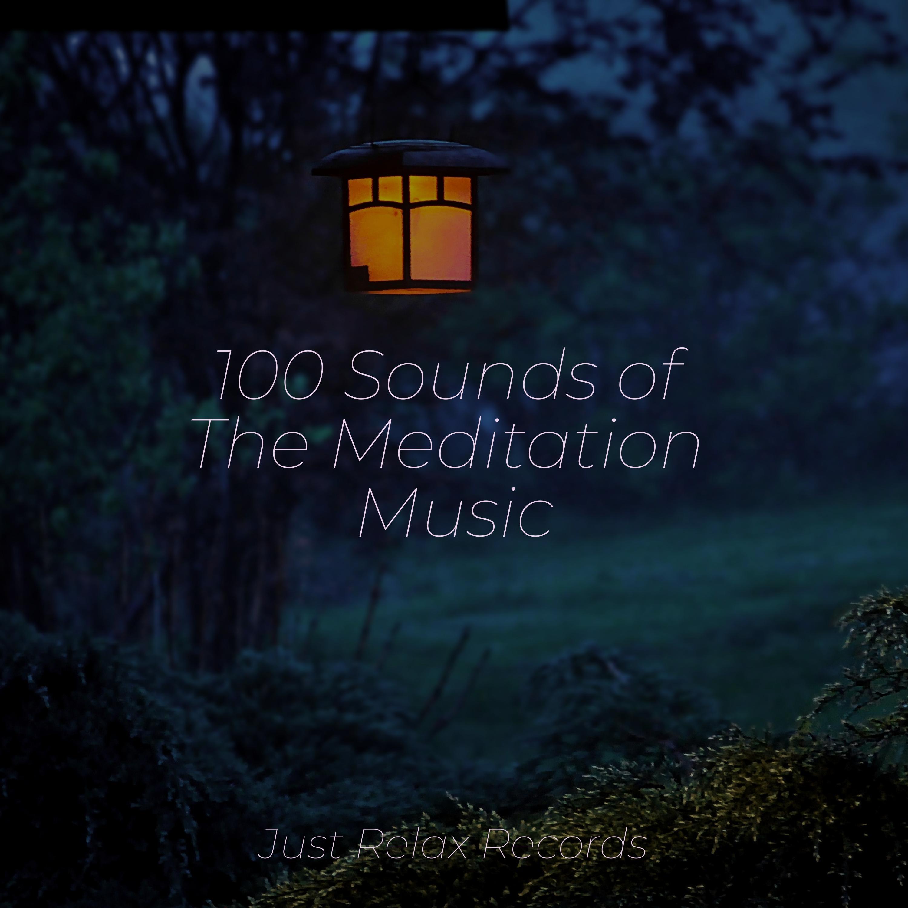 100 Sounds of The Meditation Music