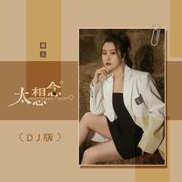 菲儿 - 太想念（DJR7版)