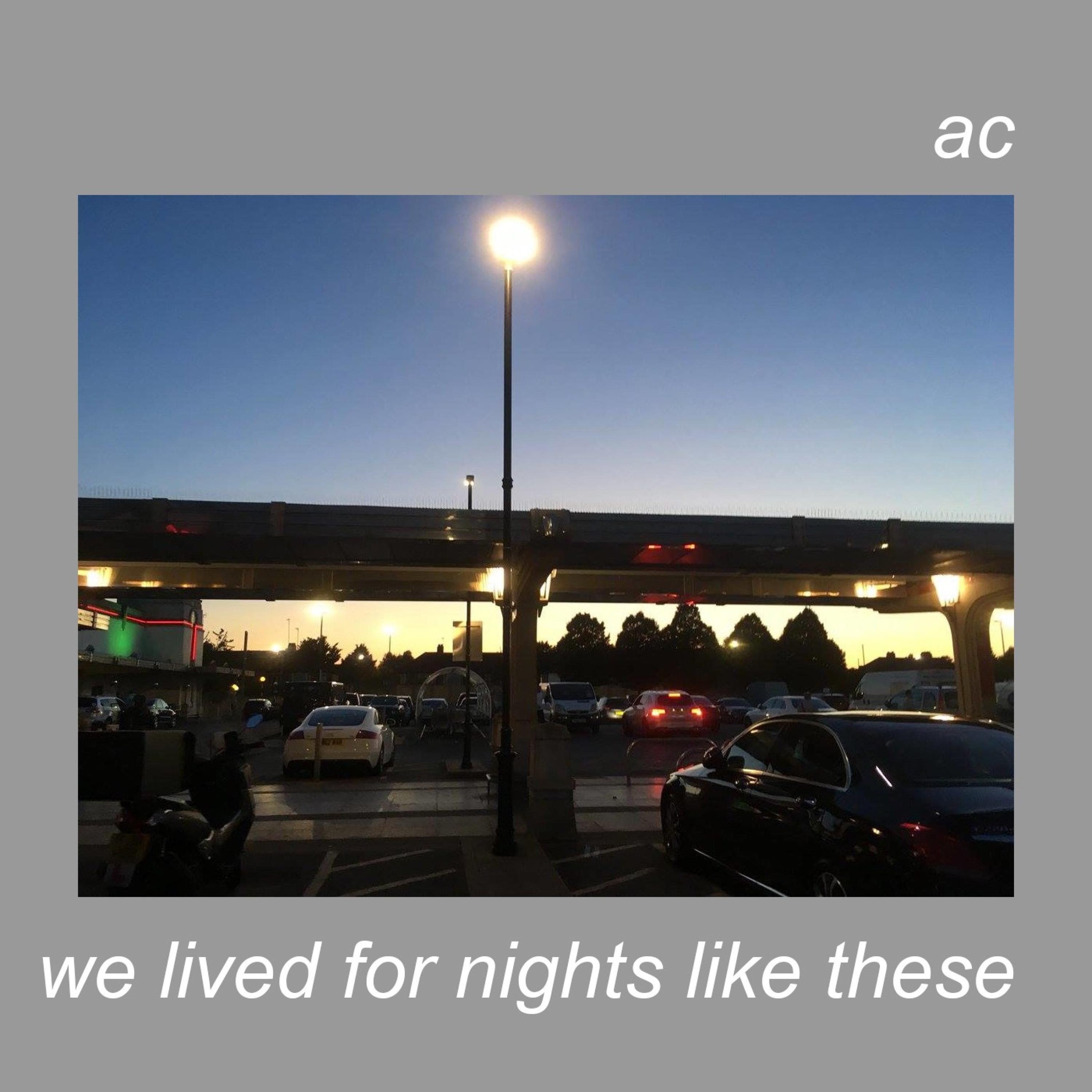 We Lived for Nights Like These