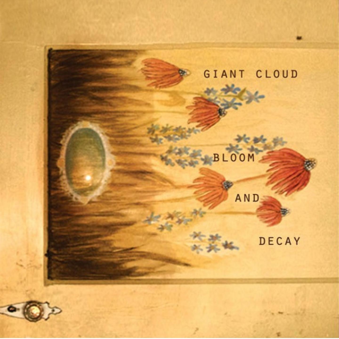 Bloom & Decay