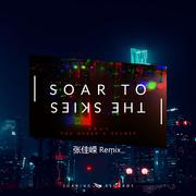 亚哲大大 - Soar To The Skies（张佳嵘 Remix）