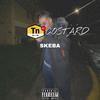 Skeba - Tn Costard