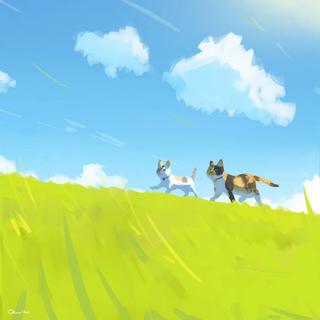 立春：和风细雨，都治愈着生活的仓皇