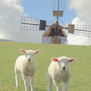 欧美节奏控•欢快起舞轻小调 快乐即当下~