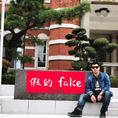 假的fake