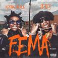 F.E.M.A