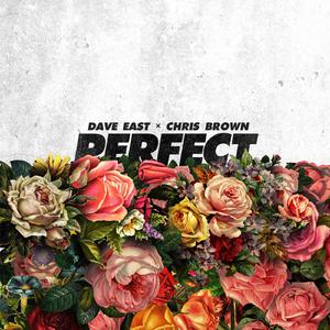 Dave East&Chris Brown-Perfect 原版立体声伴奏