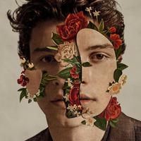 Shawn Mendes And Julia Michaels - Like To Be You (unofficial Instrumental)