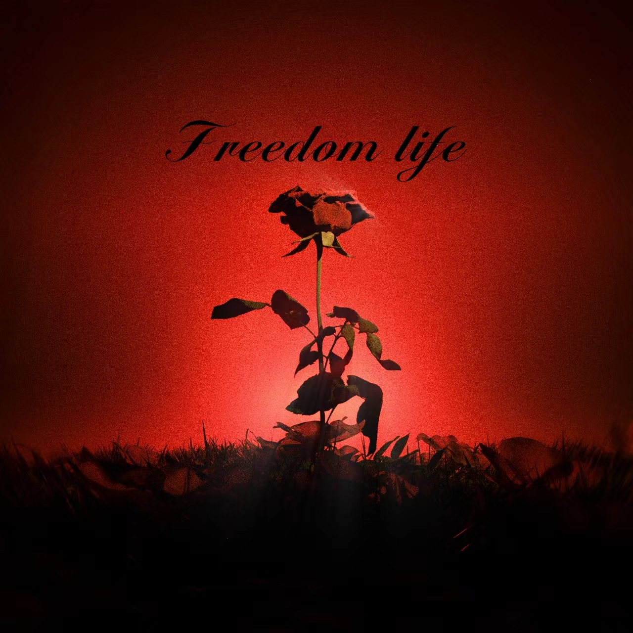 Freedom life专辑