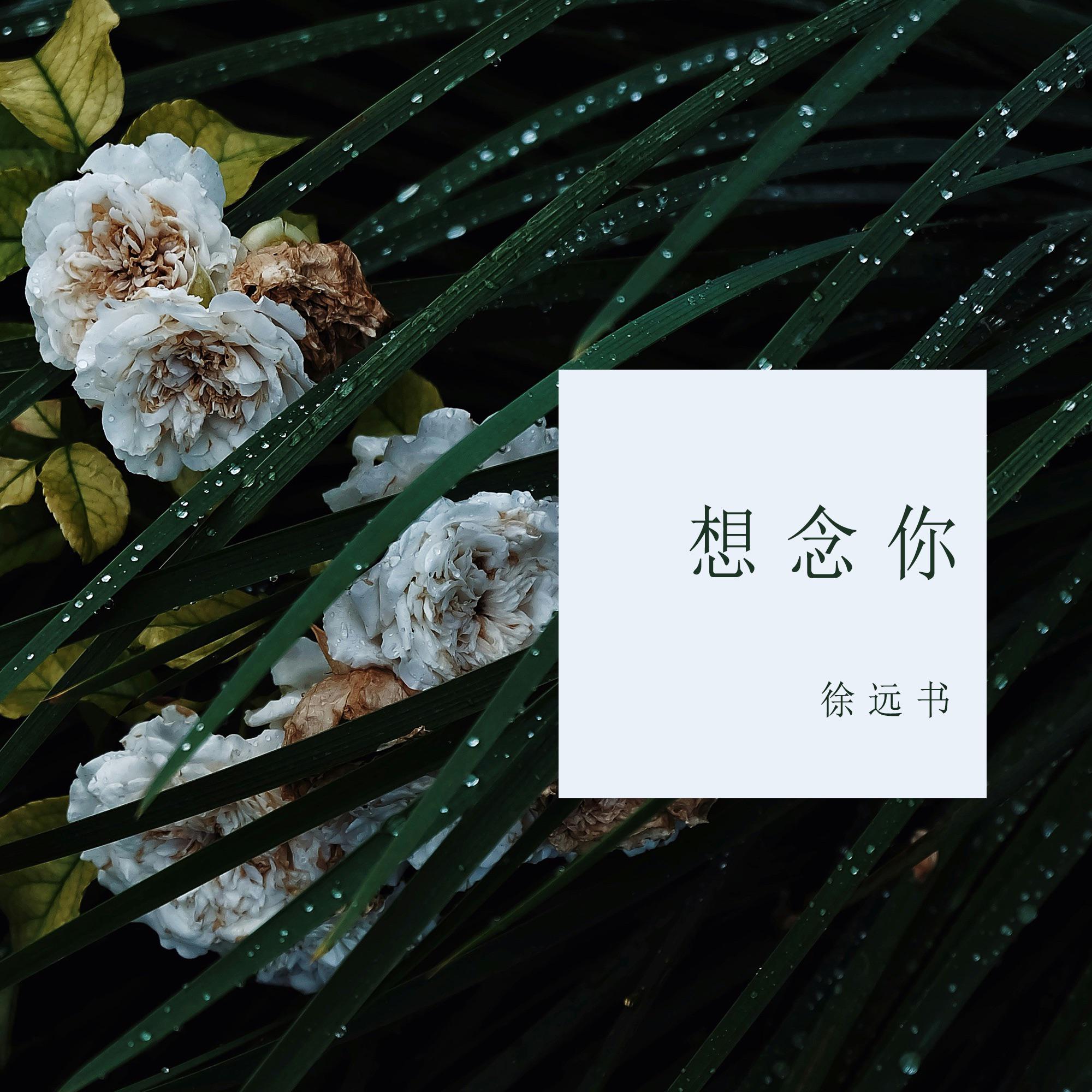 想念你