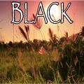 Black - Tribute to Dierks Bentley