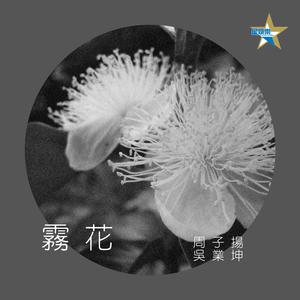吴业坤&周子扬-雾花 原版立体声伴奏