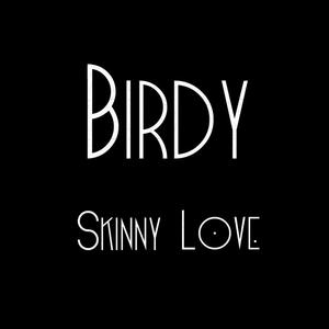 Birdy - Skinny Love (PT karaoke) 带和声伴奏