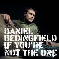 Daniel Bedingfield - If You're Not the One (VS karaoke) 带和声伴奏